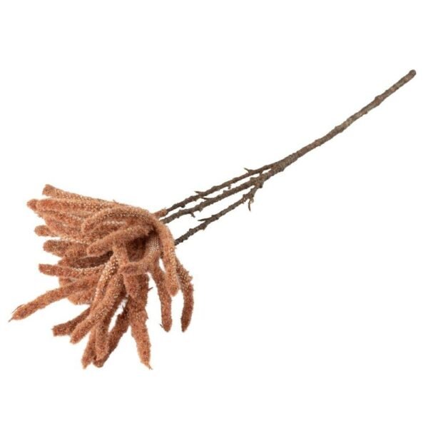Vara Catkins