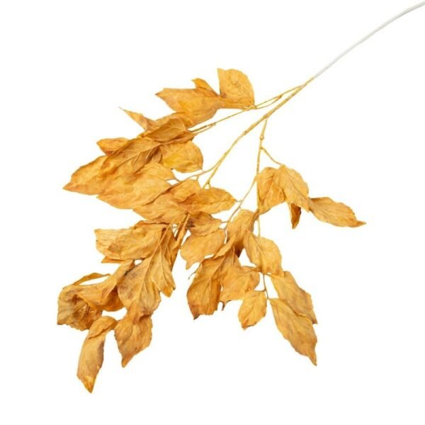 Vara maple beige 1.03mts