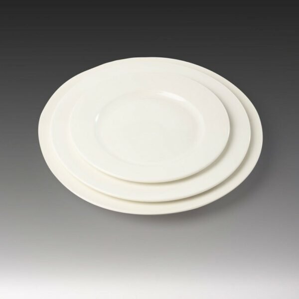 Plato postre porcelana gastronomica x6